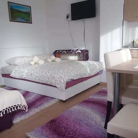 Apartment Bucic Zlatibor Zimmer foto