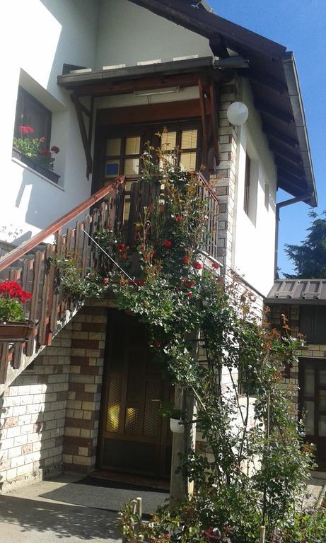 Apartment Bucic *