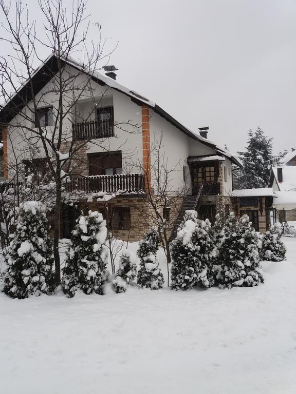 Bucic Zlatibor